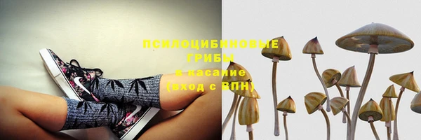 синтетический гашиш Новодвинск