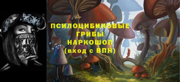 винт Новозыбков