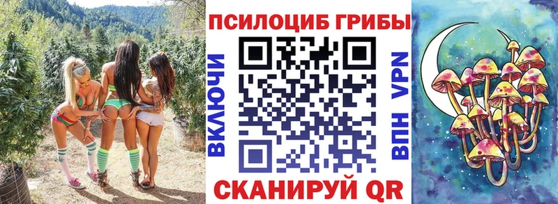 даркнет сайт  нарко площадка клад  Галлюциногенные грибы Psilocybine cubensis  Татарск 