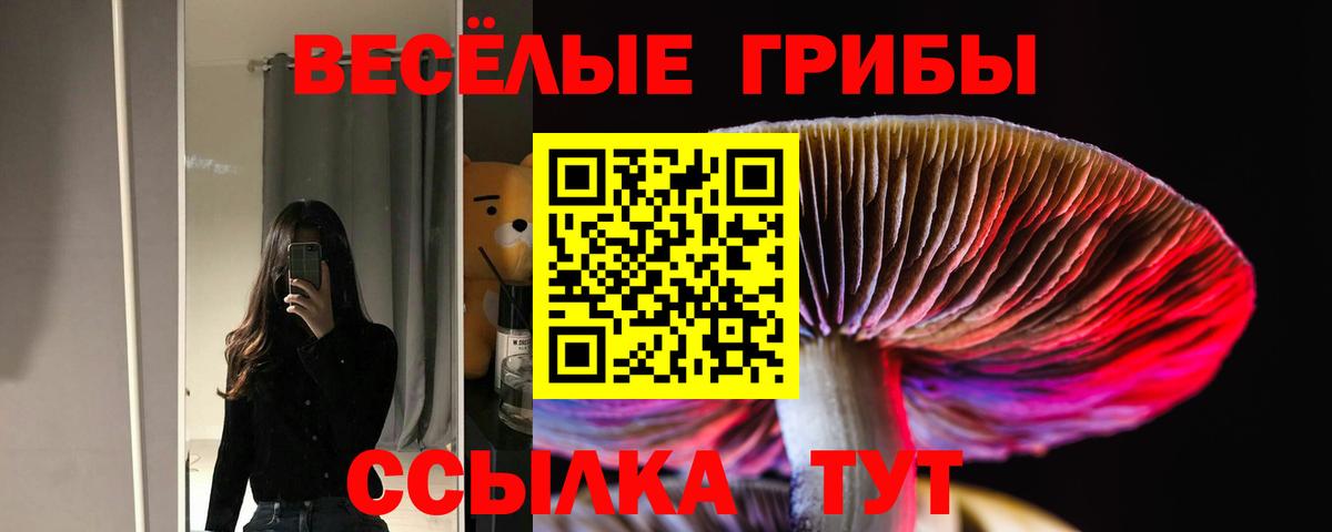 Галлюциногенные грибы прущие грибы  Вход с VPN  Татарск  Галлюциногенные грибы MAGIC MUSHROOMS 